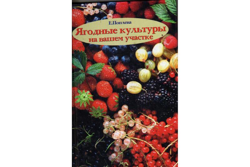 Поплева Е. Ягодные культуры в вашем саду