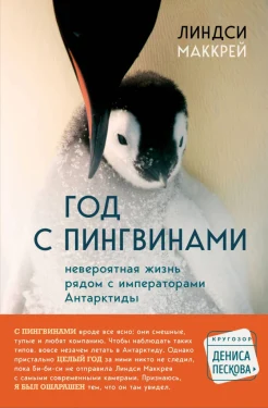Маккрей Л., Год с пингвинами. Невероятная жизнь рядом с императорами Антарктиды
