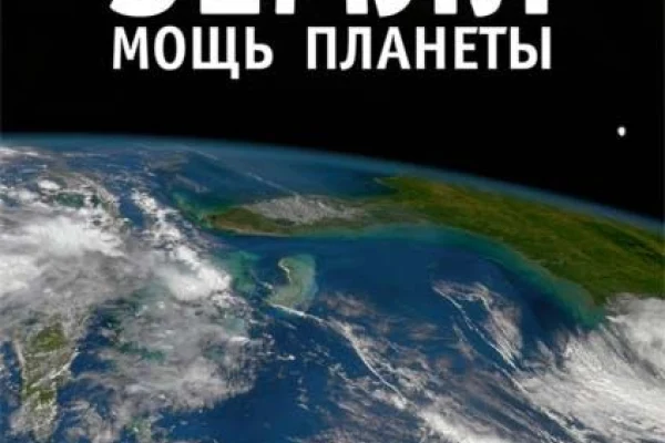 Новые поступления мультимедийных изданий по искусству