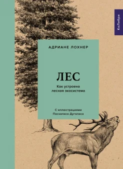 Лохнер А., Лес. Как устроена лесная экосистема